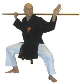 DVD MATAYOSHI-RYU VIDEO DIDATTICO